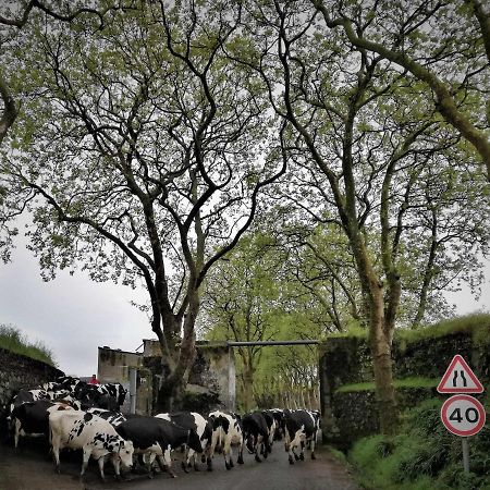 Casa De Ferias Com Vistas Deslumbrantes Villa Porto Formoso Bagian luar foto