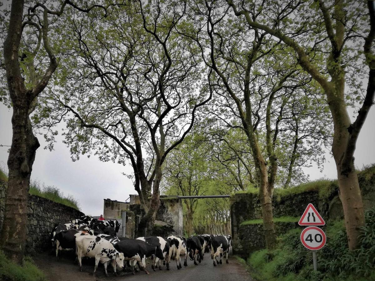 Casa De Ferias Com Vistas Deslumbrantes Villa Porto Formoso Bagian luar foto